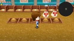Harvest Moon: The Lost Valley & Skytree Village Collectors Edition (Switch)
