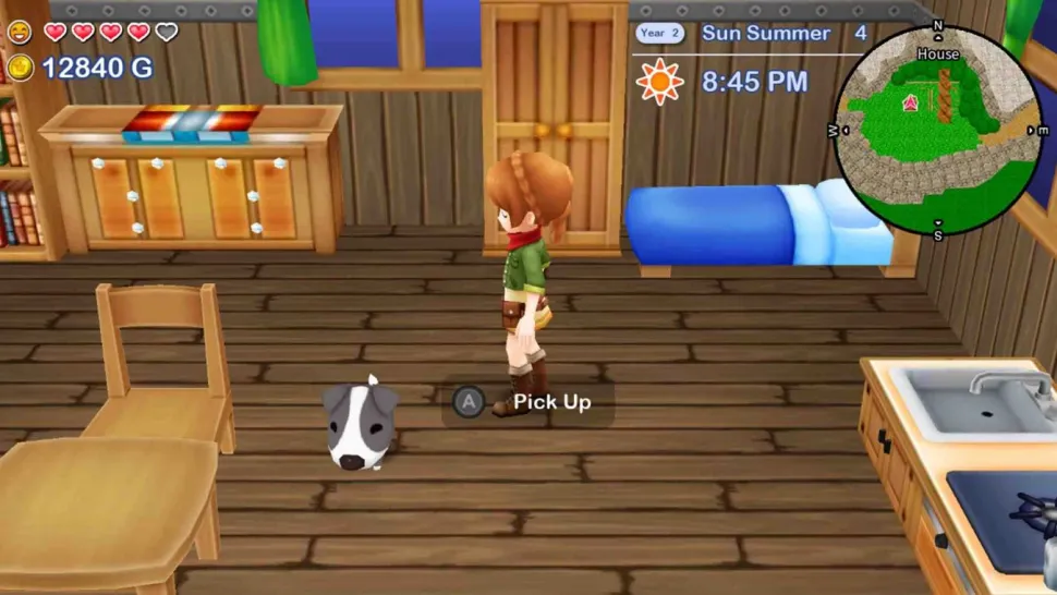 Harvest Moon: The Lost Valley & Skytree Village Collectors Edition (Switch)