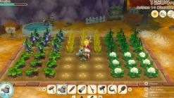 STORY OF SEASONS: Grand Bazaar (Switch 2)